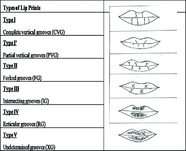 Mô tả hình ảnh